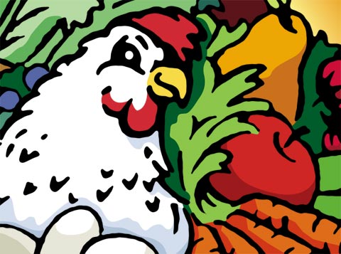 Logo Branding for Chuck and Birds Organic Restaurant